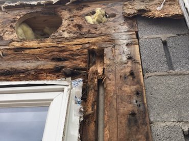 One coat stucco is less than 10 years old and already caused severe rot
