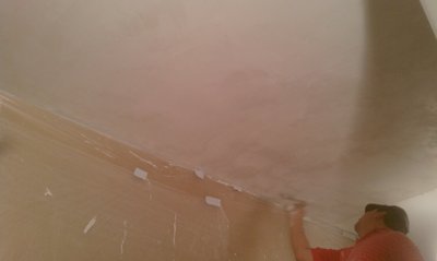 Plaster ceiling
              replaced
