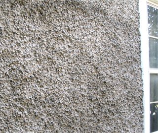 pebble dash stucco