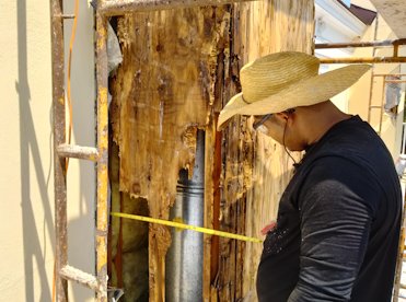 Old plywood was badly dry rotted .
