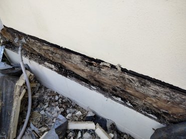 patch was used to hide extensive termite daamge.
