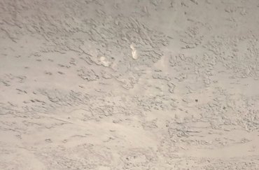 White skip trowel texture.