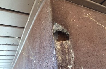 EIFS torn off, stucco put on in Bethesda