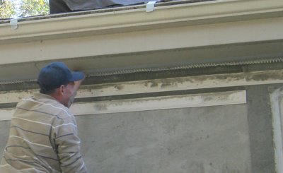cove moulding