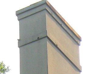 Bird infestation in EIFS
                chimney