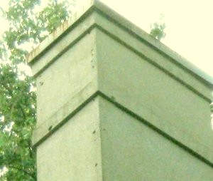 more bird
                infestation in EIFS chimney