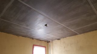 blue board, or veneer plaster board