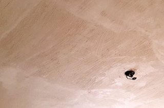 veneer basecoat plaster