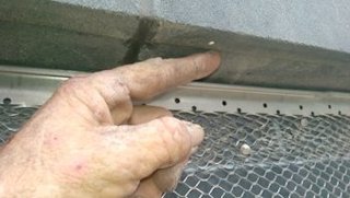 lightweight
.7 mil painters plastic
