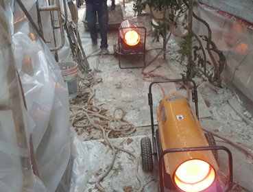 3 kerosene heaters keep us going in Arlington, VA.