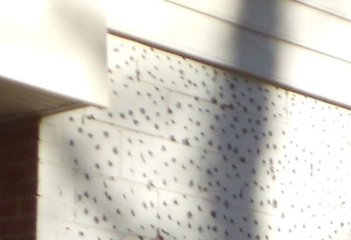 The painted blocks
are chipped and prepared.