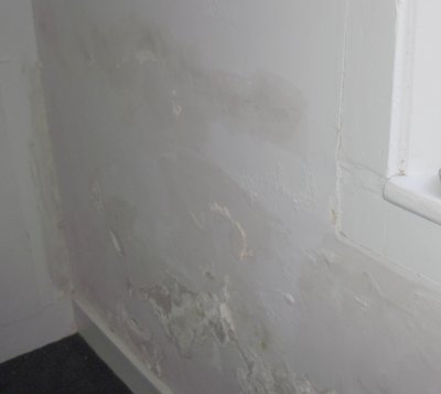efflorescence