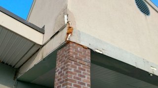 Trucks bumped into the wall next to
              the grocery store