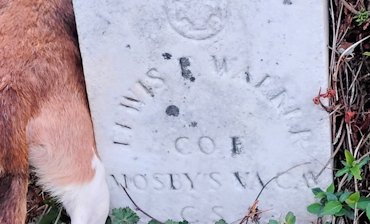  Mosby's rangers A.K.A. Mosby's raiders.