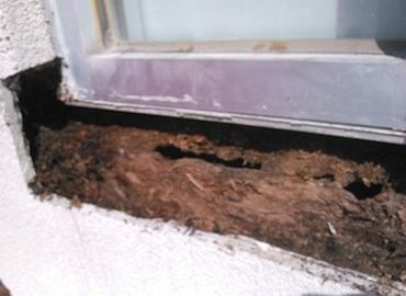 One coat stucco severely rotted after 5 years.