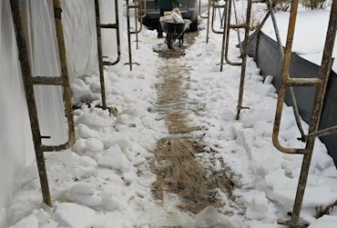path was shoveled in the snow.