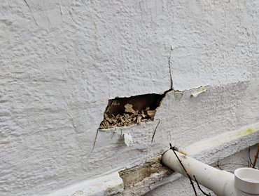 100 year old plus stucco was failing.