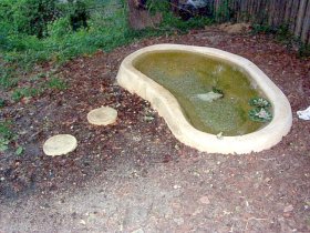 fish pond