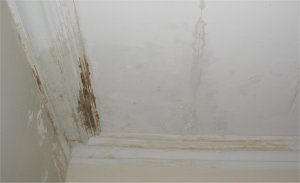 Badly water damaged moulding