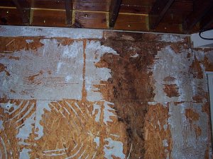 EIFS removal