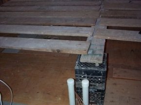 Scaffold