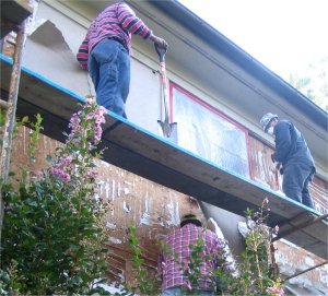 Top left of photo shows membrane peeled off.