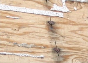 washers on plywood sheathing