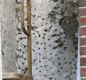 Old stucco is repaired and resurfaced with a color cement finish in Silver Spring , Maryland.