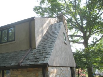 Side view