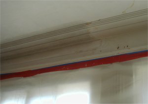 Molding repair in Washington, DC