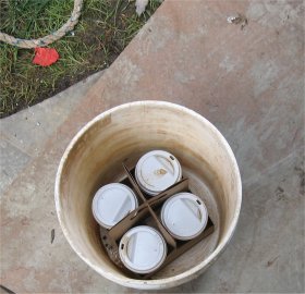 Coffee is put into buckets