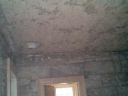 gutted 3 more rooms