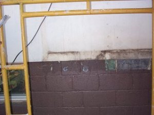 bottom edge
              of the stucco
