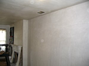 dining room and living room