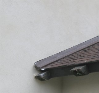 Color stucco finish