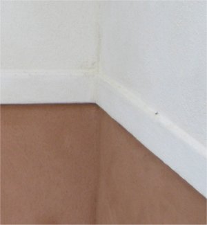 Band in traditional stucco