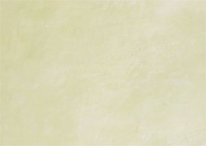 mottling of the plaster