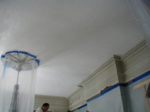 Ceilings
                replastered