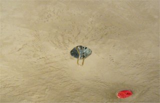 Mottling and burnishing are contolled by the individual plasterer.
Alexandria, VA
