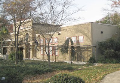 Stucco remodel in Alexandria