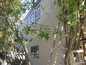 cement color coat